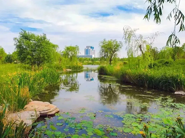 河道景观.jpg