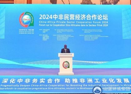 山蓝环境集团专家顾问应邀出席2024中非民营经济合作论坛
