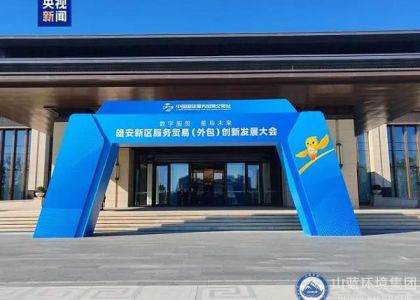 山蓝环境集团顾问团应邀出席2024雄安服务贸易创新发展大会
